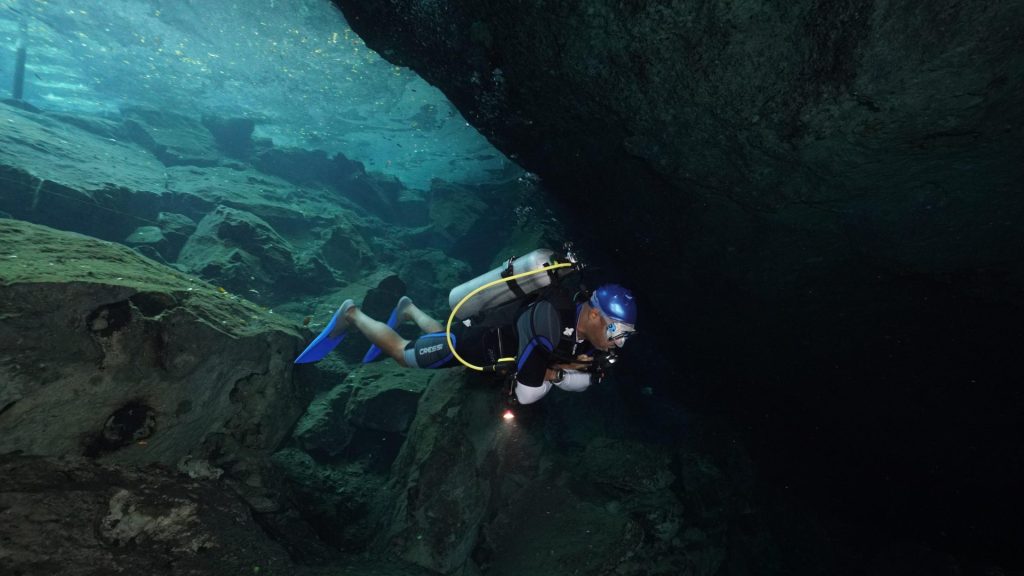 Spotlight Diver: Duane Wise